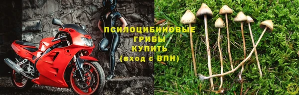 каннабис Лихославль