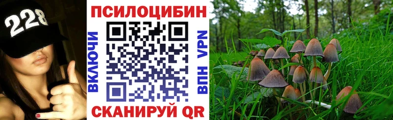Псилоцибиновые грибы MAGIC MUSHROOMS  Купить  Нюрба 